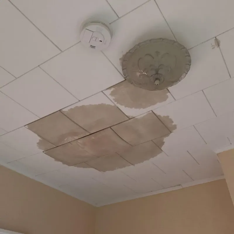 Ceiling Water Damage Repair in Bull Shoals, AR