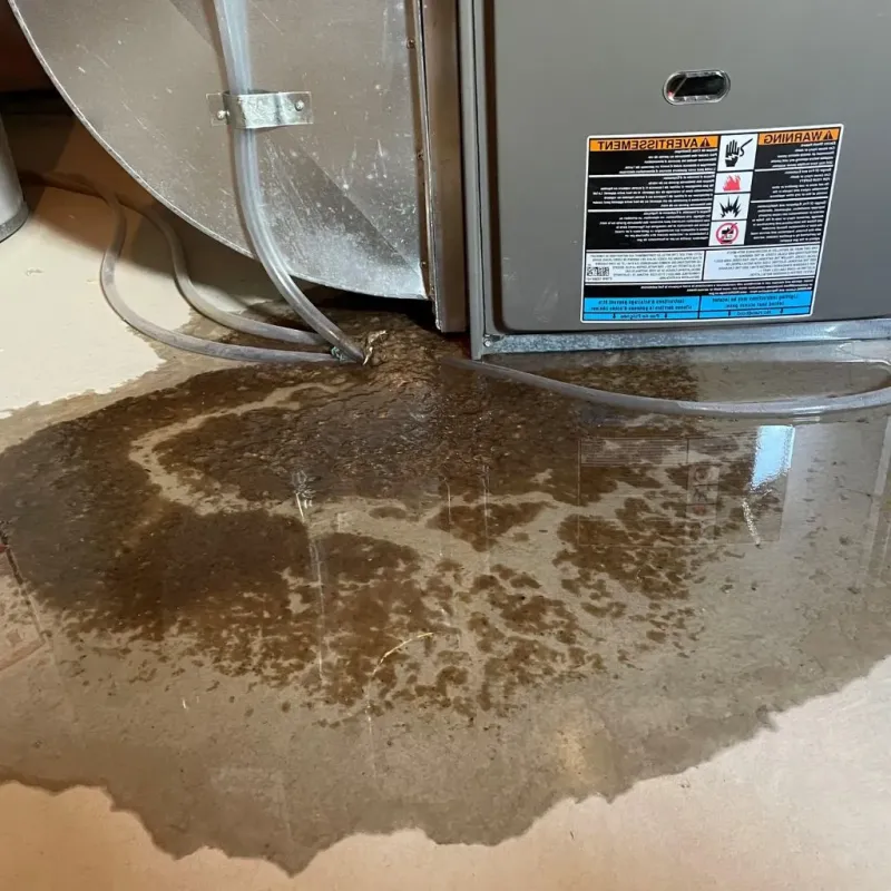 Pipe Burst and Leak Restoration in Bull Shoals, AR
